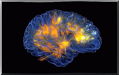 brain activity during dreams