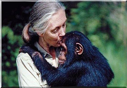 5 sentences by Jane Goodall that will make you think