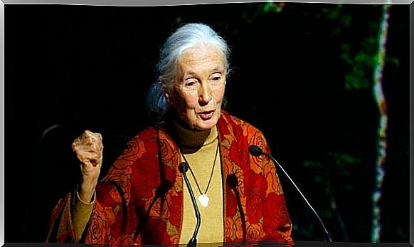 Jane Goodall lecturing