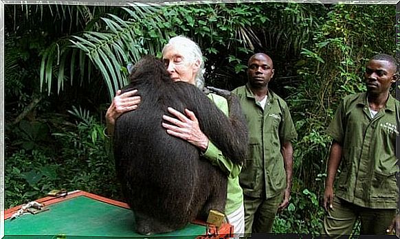 Jane Goodall hugging monkey