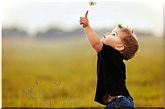 boy pointing to butterfly