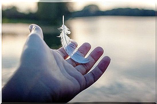 hand holding feather