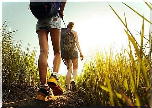 Friends on a nature hike