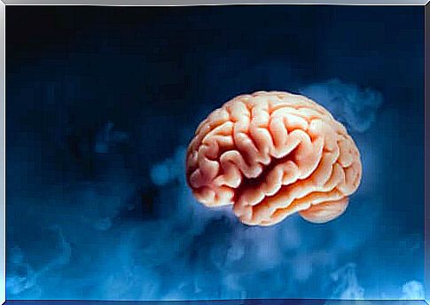 brain on blue background