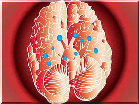 The 12 cranial nerves and their functions