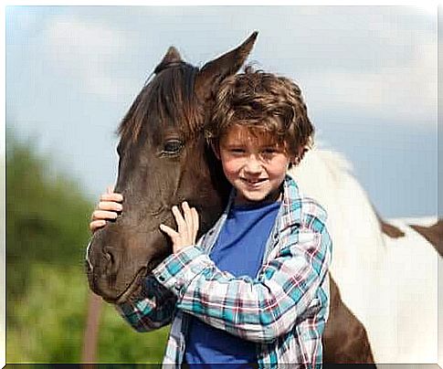 boy with horse