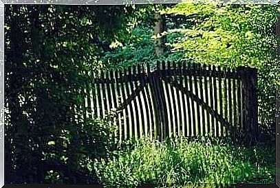 Wood fence