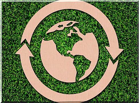 What is the circular economy?